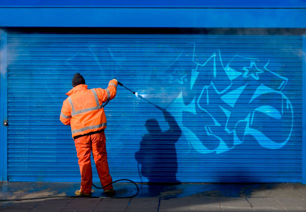 Best Best Pressure Washing Companies  in Fowlerville, MI