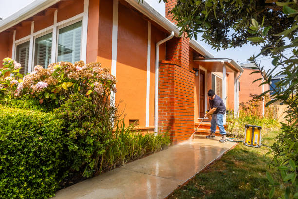 Best Affordable Pressure Washing  in Fowlerville, MI